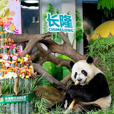 “萌帅酷”拍了拍你:昨天我生日,你不会忘了吧?!
