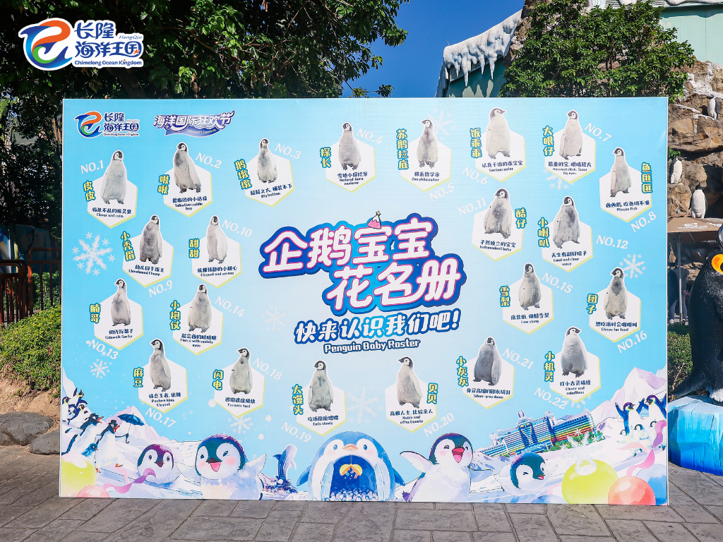 image e26819016f70ee0f.png