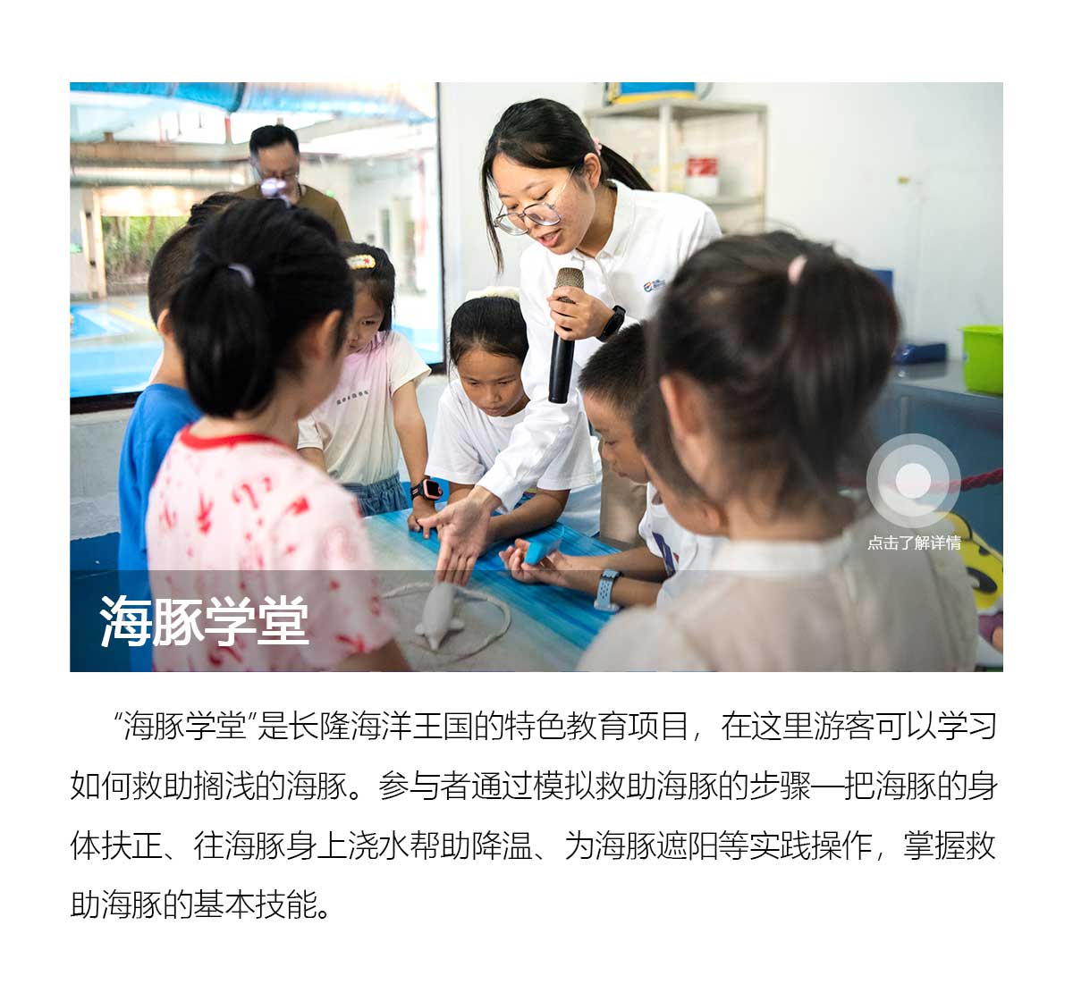 image 995ba9c081c31d72.jpg