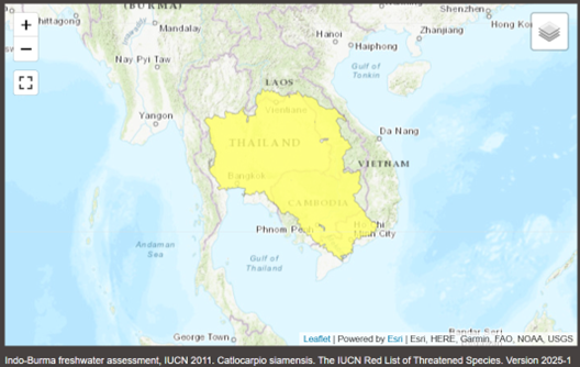 55d20eaac1a27a46.png