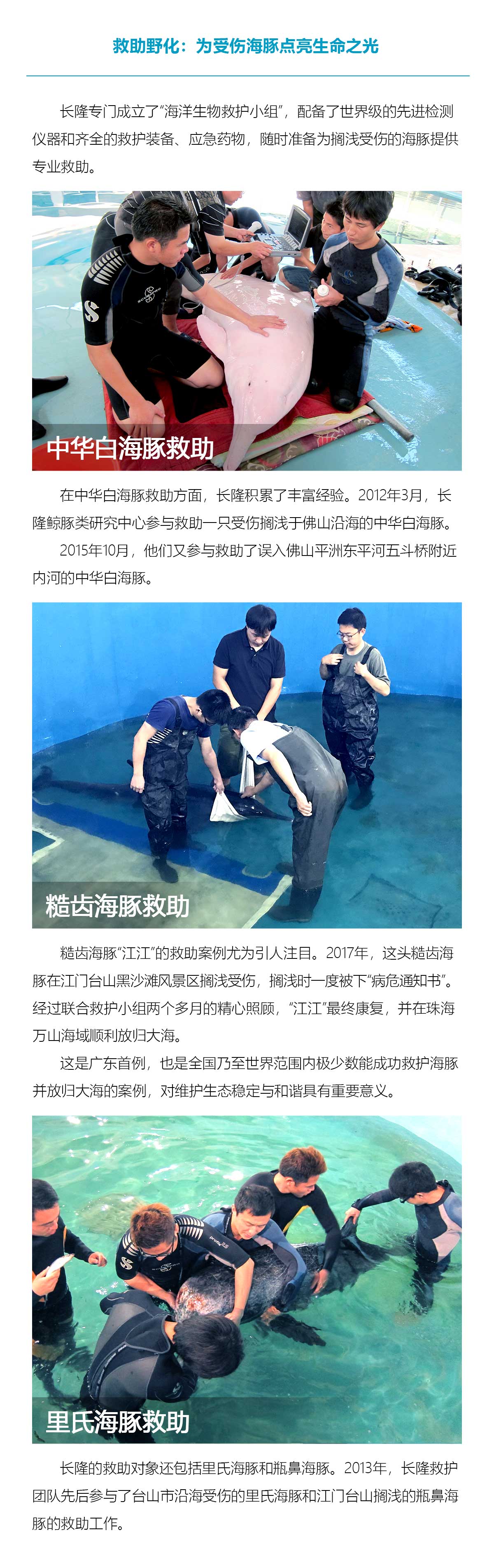 image 0089a137cdfb63fd.jpg