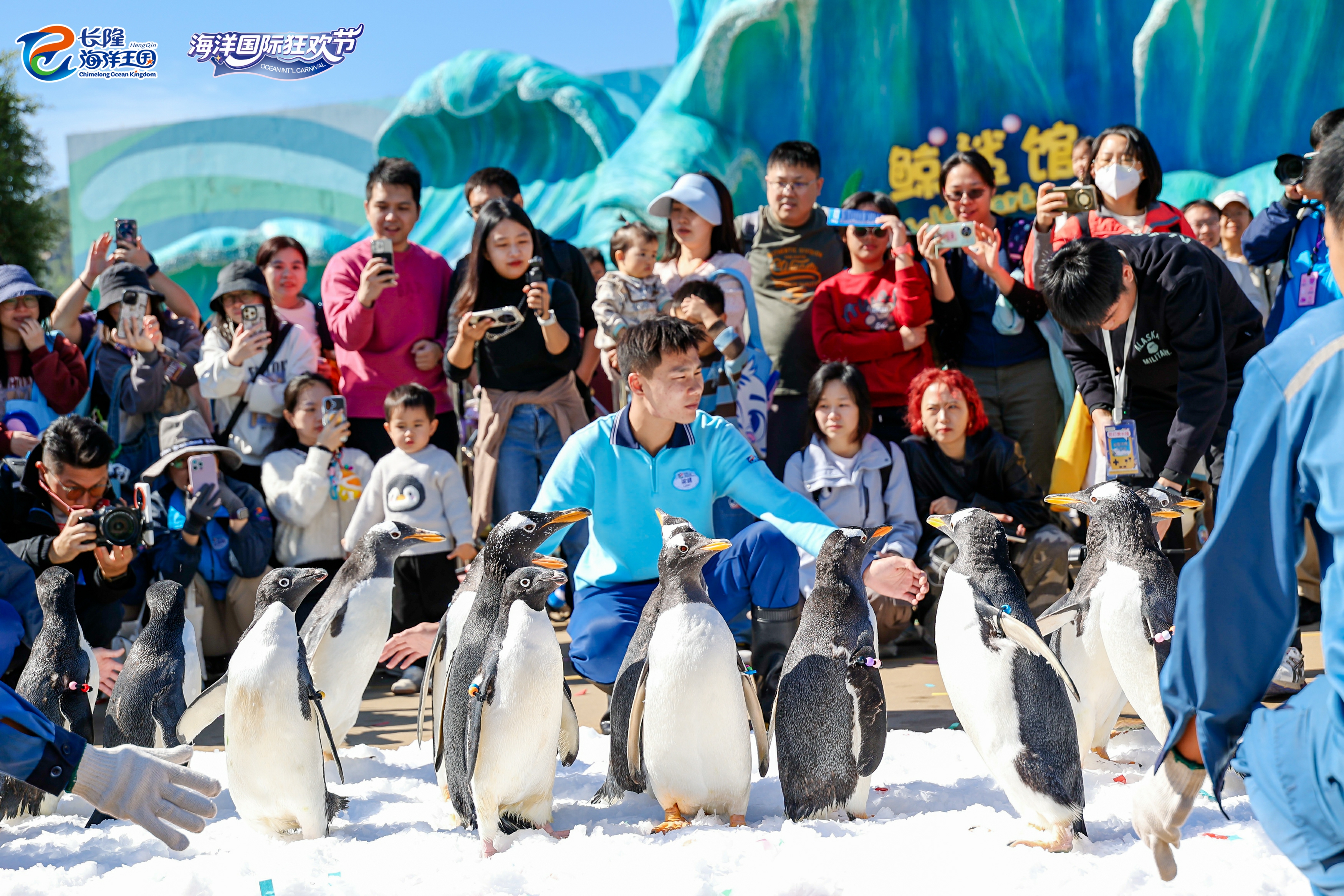 image 63411e5d867c0a1a.jpg