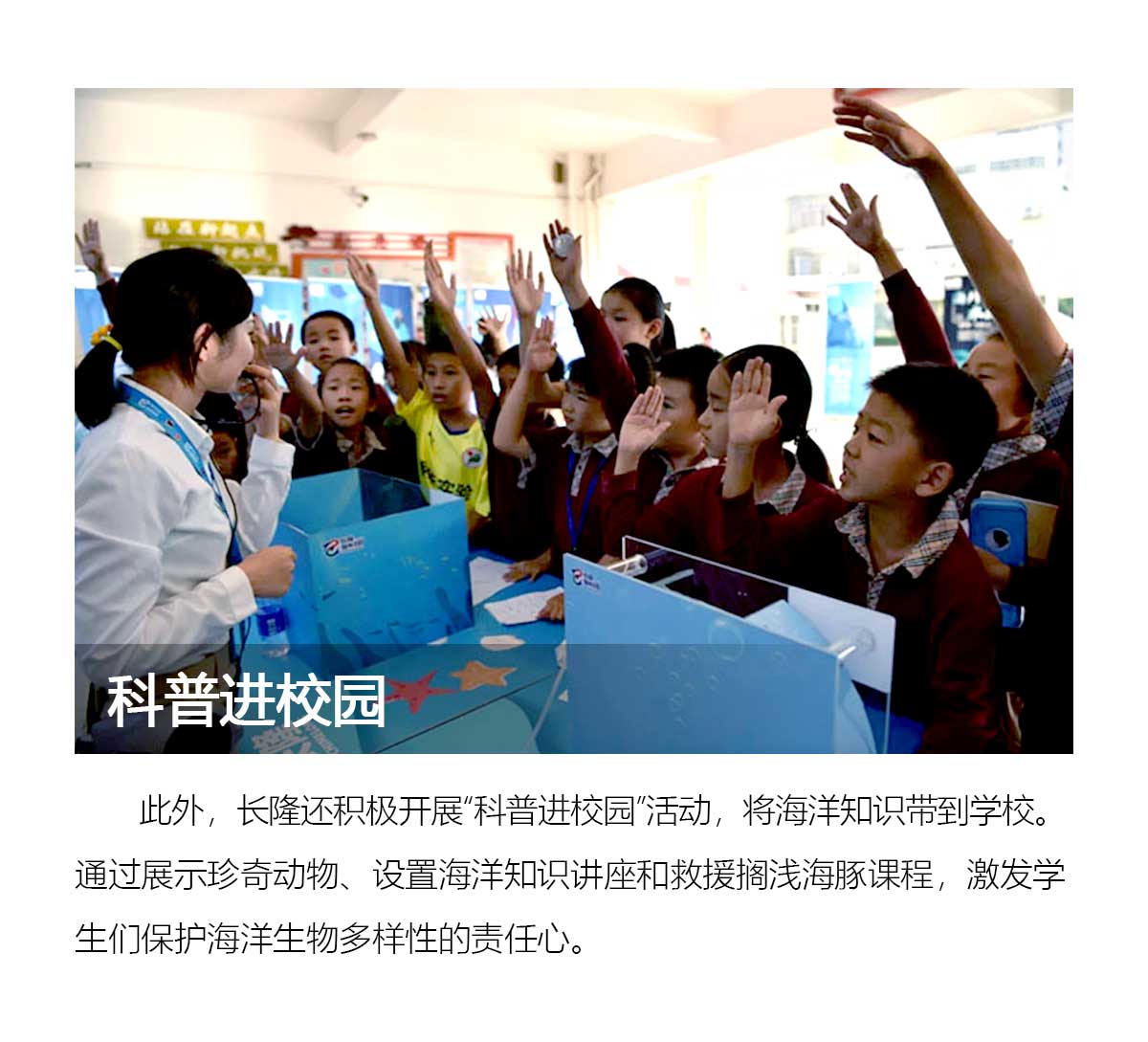 image 24502871e5c86521.jpg