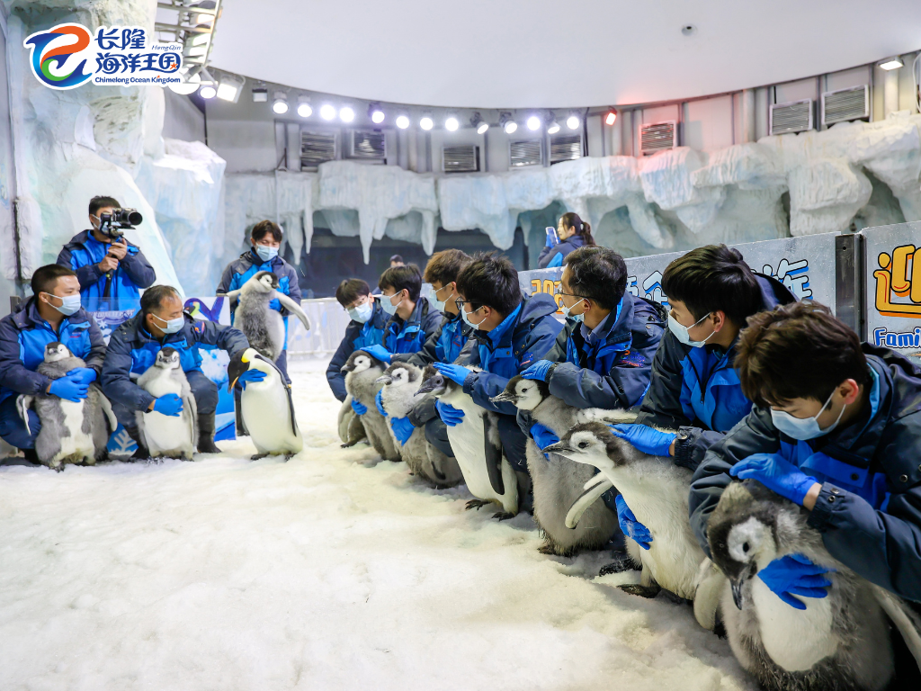 image 3e5cee26edd39d9c.png